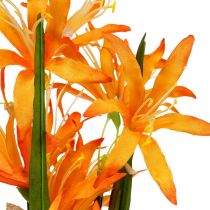 Dirbtinės gėlės Nerine Orange Gernsio lelijos Rudens gėlės 48cm