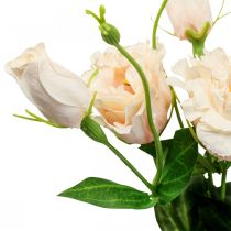 Dirbtinės gėlės lisianthus kremas 51cm gėlių dekoracija 5vnt