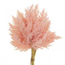 daiktų Dirbtinės Astilbe deco šakelės dirbtinės rožinės spalvos H38cm 5vnt