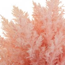 daiktų Dirbtinės Astilbe deco šakelės dirbtinės rožinės spalvos H38cm 5vnt