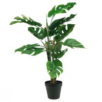 daiktų Dirbtinis augalas Philodendron Dirbtinis vazoninis augalas H60cm