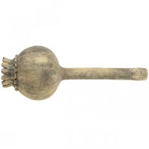 daiktų Dirbtinio akmens apdaila aguonų senovinė dekoracija ruda Ø13cm L37,5cm