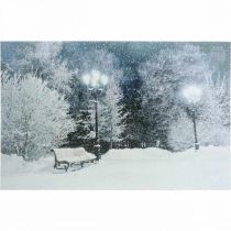 daiktų LED paveikslėlis Kalėdinis žiemos peizažas su parko suoliuku LED freska 58x38cm