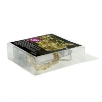 daiktų Šviesos diodų lemputės šiltai balta girlianda viduje 100 baterijų paketui