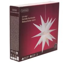 daiktų Dekoratyvinė LED žvaigždė, šiltai balta, lauko, su laikmačiu, 40 cm