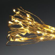 daiktų LED pasakų lemputės 50s akumuliatoriui 5m šiltai baltos spalvos