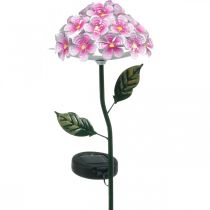 Saulės gėlė, LED sodo puošmena, dekoratyvinė chrizantema rožinė L55cm Ø15cm