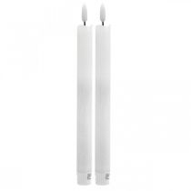 daiktų LED žvakių vaško stalo žvakė šiltai balta baterijai Ø2cm 24cm 2vnt