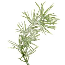 daiktų Dekoratyvinė maumedžio girlianda atmosferiniam kambario dizainui, 250 cm