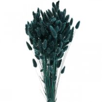 Lagurus Džiovintos Triušio Uodegos Žolė Tamsiai Žalia 65-70cm 100g