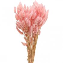 Lagurus džiovintos triušio uodegos žolė šviesiai rožinė 65-70 cm 100 g