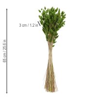 daiktų Džiovintos kiškio žolės (Lagurus) 65-70 cm 75 g