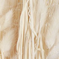 daiktų Džiovintos gėlės Lagurus Natural – kreminės baltos purios triušio uodegos žolė 55-70cm 100g