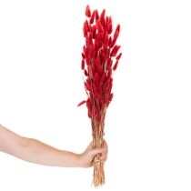 daiktų Džiovintų Lagurus puokštė, džiovintų gėlių dekoracija, 70 cm, 100 g