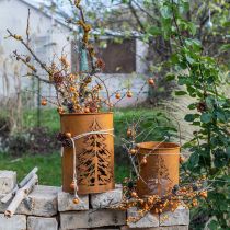 daiktų Žibintų metalinė žibinto patina dekoracija Ø16/20,5cm rinkinys iš 2 vnt