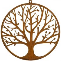 Sienų dekoravimo gyvybės medis patina dekoravimo žiedas metalinis žiedas Ø38cm