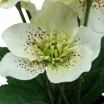 Lenten rose Hellebore Kalėdų rožių vazonas dirbtinės gėlės H25cm baltos