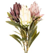daiktų Dirbtinės protea gėlės Leucadendron 65cm 3vnt