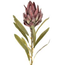 daiktų Dirbtinės protea gėlės Leucadendron 100 cm 3 vnt.
