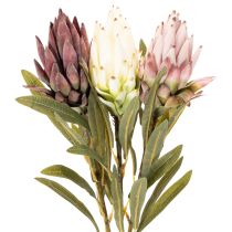 daiktų Dirbtinės protea gėlės Leucadendron 100 cm 3 vnt.