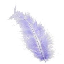 daiktų Purple Feathers Fluffy Craft Supplies Spring 5-10cm 20g