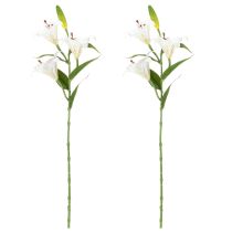 daiktų Dirbtinė lelija, tikroviška kopija, patvari gyvenamųjų patalpų dekoracija, 66 cm, 2 vnt.