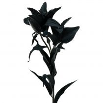 Dirbtinė gėlė lelija juoda 84cm