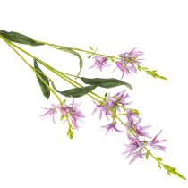 daiktų Dirbtinė gėlė Triteleia elegantiškam gėlių dekoravimui gyvenamosiose patalpose, 110 cm, 2 vnt.