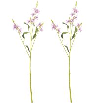 daiktų Dirbtinė gėlė Triteleia elegantiškam gėlių dekoravimui gyvenamosiose patalpose, 110 cm, 2 vnt.