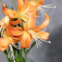 daiktų Dirbtinės lelijos, vestuvių ir renginių dekoracija, 77 cm, 4 vnt.