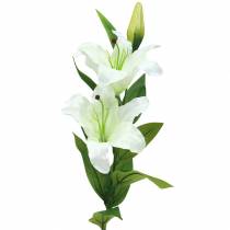 daiktų Velykinė lelija balta 86cm