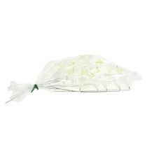 daiktų Lelija ant vielos vidutinė 25 vnt