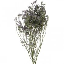 Sausos gėlės, Jūros levandos, Statice Tatarica, Jūros levandos, Limonium Violetinė L45–50cm 30g