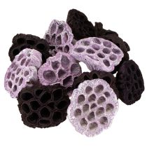 daiktų Lotoso mišinys rožinis, Erika Ø6cm - Ø10cm 50 vnt.