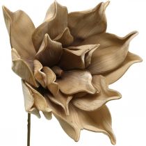 Lotoso gėlė, lotoso žiedų puošmena, dirbtinis augalas smėlio spalvos L66cm