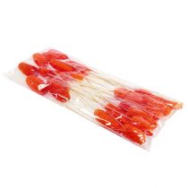 daiktų Luffa mažas ant pagaliuko oranžinis 25 vnt