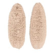 daiktų Luffa dideli balinti 20 vnt.