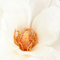 daiktų Magnolijos baltųjų dirbtinių gėlių pumpurų dekoravimo šakelė H40cm 2vnt