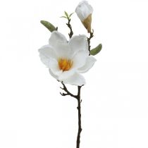 Magnolijos balta dirbtinė gėlė su pumpurais ant deko šakos H40cm