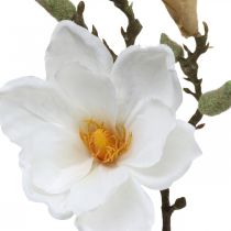 Magnolijos balta dirbtinė gėlė su pumpurais ant deko šakos H40cm