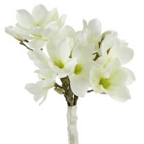 daiktų Magnolijų kekė balta 40cm 5 vnt