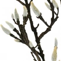 Dirbtinė magnolijos šakelė pavasario dekoravimo šakelė su pumpurais Ruda Balta L135cm