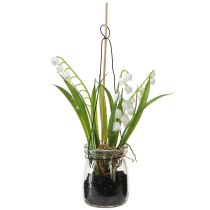 daiktų Slėnio lelija stiklinėje Dirbtiniai ankstyvieji žydėjimai H22cm 3vnt