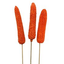 daiktų Kukurūzų burbuolės ant pagaliukų oranžinės 20 vnt