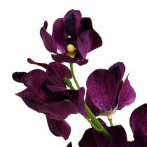 daiktų Mokara orchidėja violetinė 50cm dirbtinė 6vnt