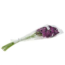 daiktų Mokara orchidėja violetinė 50cm dirbtinė 6vnt