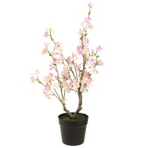 daiktų Migdolų medis Didelis dirbtinis augalas rožiniame baltame vazone, 74 cm