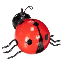 daiktų Medinės boružėlės/laimę nešančios blakės kaip mielos namų dekoracijos, 5 cm, 6 vnt.