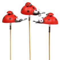 Deco kištukai ladybug ant pagaliuko medžio raudona, juoda 4cm x 2,5cm A23,5cm 16 vnt.