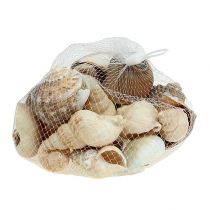 daiktų Maritime deco kriauklių mišinys natural 400g